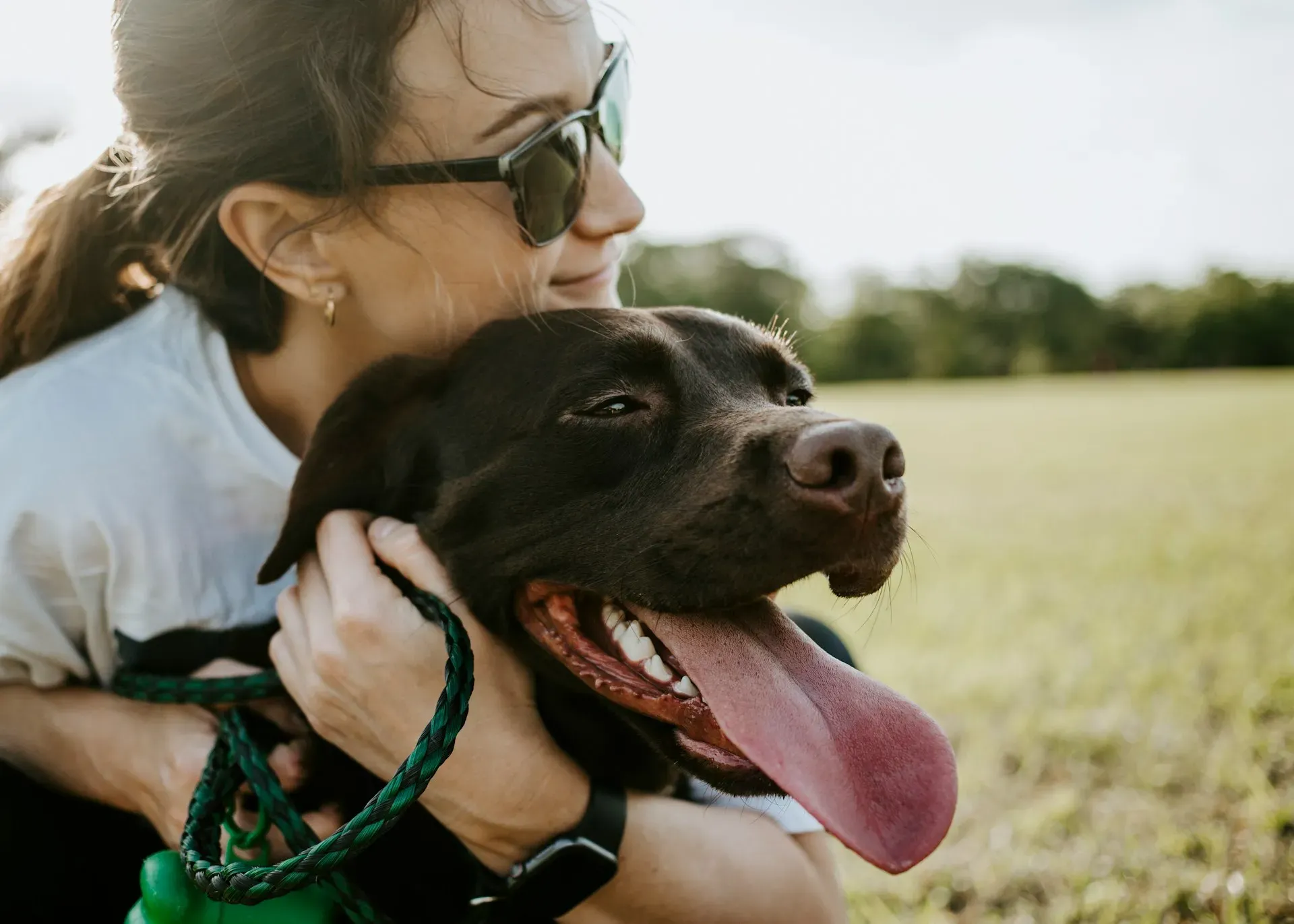 Cuidadores de Pets: Mercado Pet em Alta e Como Entrar na Área